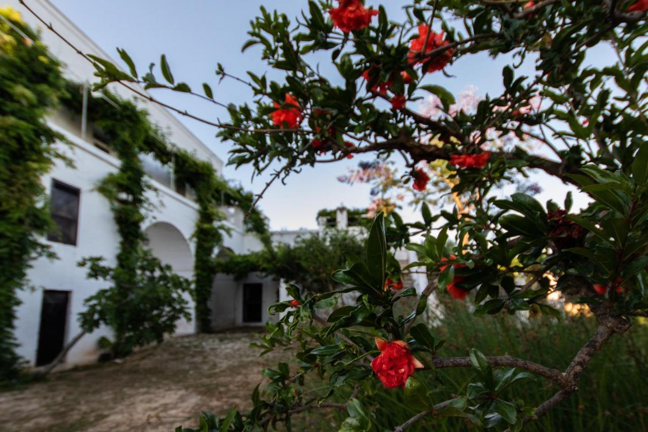 Masseria Parco Di Castro Montalbano  Exteriör bild